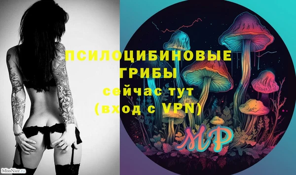 кокаин Алексеевка